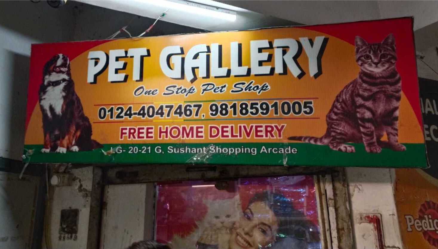 img/0725110256579830pet Galleri.jpg